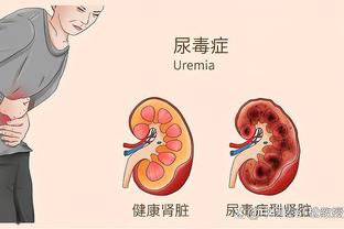 半岛在线体育官网下载手机版截图2